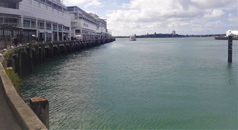Coast to Coast Path (City to Pukekawa / Auckland Domain) – Looking out over the Waitematā Harbour.